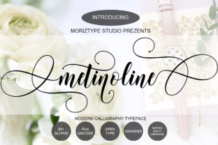 Metinoline Script: A Creative Font for Dynamic Branding