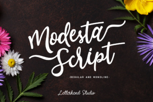 Modesta Script: Crafting Elegant and Girly Visual Identities