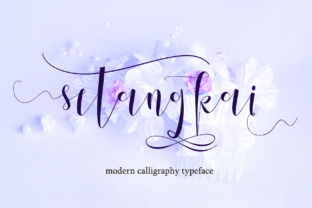 Setangkai Script: A Modern Typeface for Authentic Design